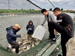 <strong>从、餐饮制做到周边商品供应</strong>